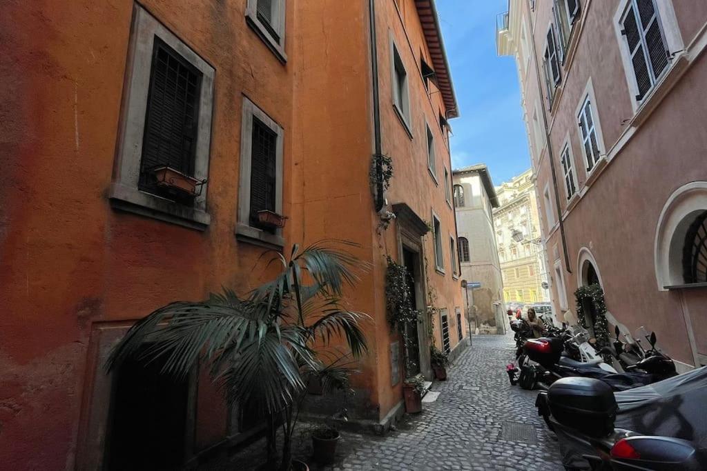 Vicolo San Trifone By Hili — Photos 2